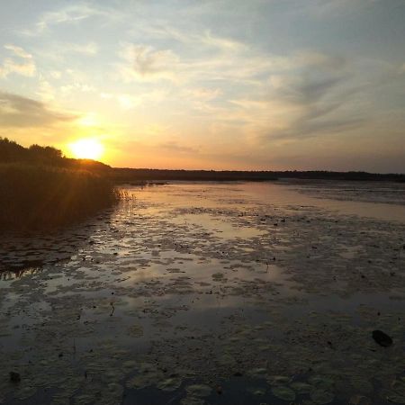 Domek Na Terenie Poleskiego Parku Narodowego Urszulin  Esterno foto